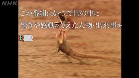 熱談プレイバック 名馬オグリキャップ！地方競馬から感動ラストランまで