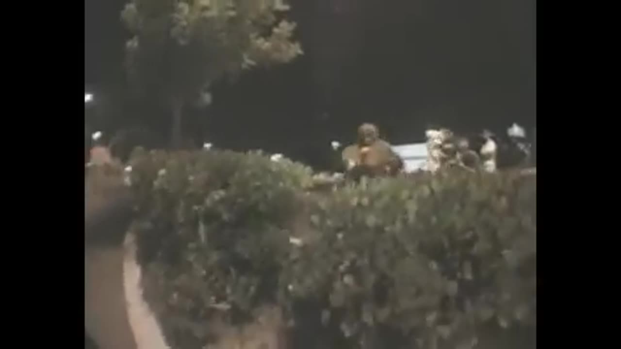 Brad Pitt on Jackass 2002