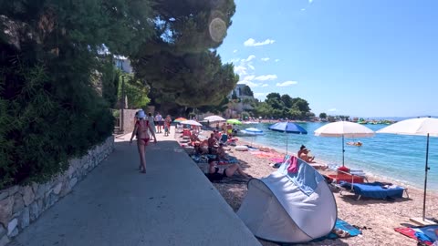 Overnight in a Cabin in the Wild, Avoid the Rain, Shower, and Cook/ Wild Beauty Returns