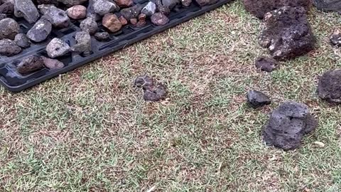 More stones, more patterns, more understanding.