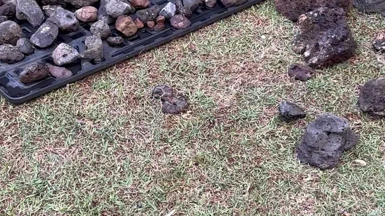 More stones, more patterns, more understanding.