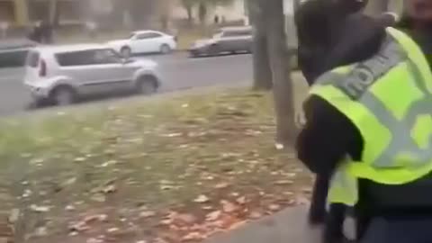 Ukraine war combat /related footage 11/12/2025