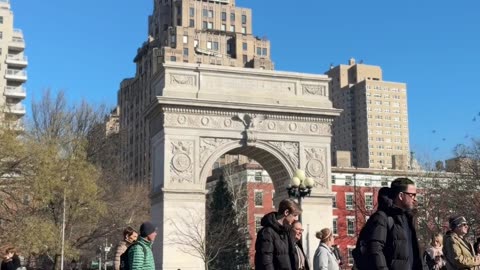 NYC Pigeon Commander