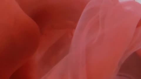 Daily Horoscope | Aquarius 🌟