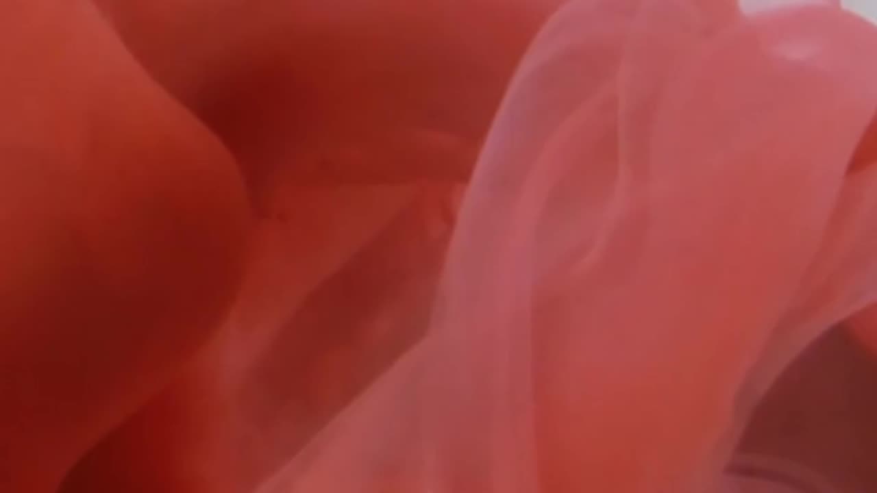 Daily Horoscope | Aquarius 🌟