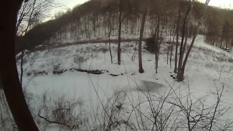 Come Explore With Me: Live Blizzard Feed | Raw IR & High-Fidelity Audio