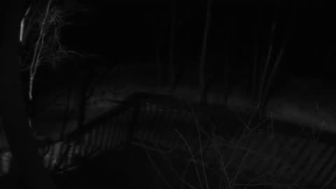 Come Explore With Me: Live Blizzard Feed | Raw IR & High-Fidelity Audio