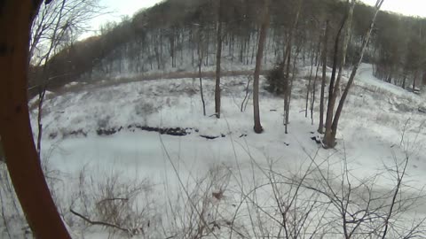 Come Explore With Me: Live Blizzard Feed | Raw IR & High-Fidelity Audio