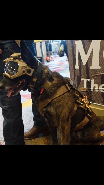 Tactical Dog at SHOT Show 2025