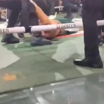 Wanderlei Silva Knocked Out Cold After Disqualification