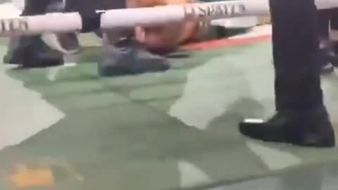 Wanderlei Silva Knocked Out Cold After Disqualification