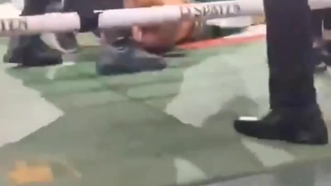 Wanderlei Silva Knocked Out Cold After Disqualification