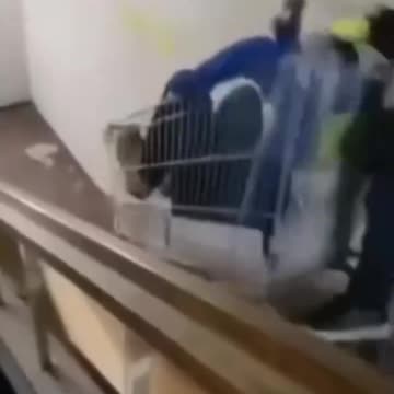 "LOL Overload: Prepare Your Funny Bone for Impact!"