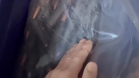 Friday Freedom Seeds with SPH featuring a can of 7.62 x 39 AAC ammo!!! #2A #funny