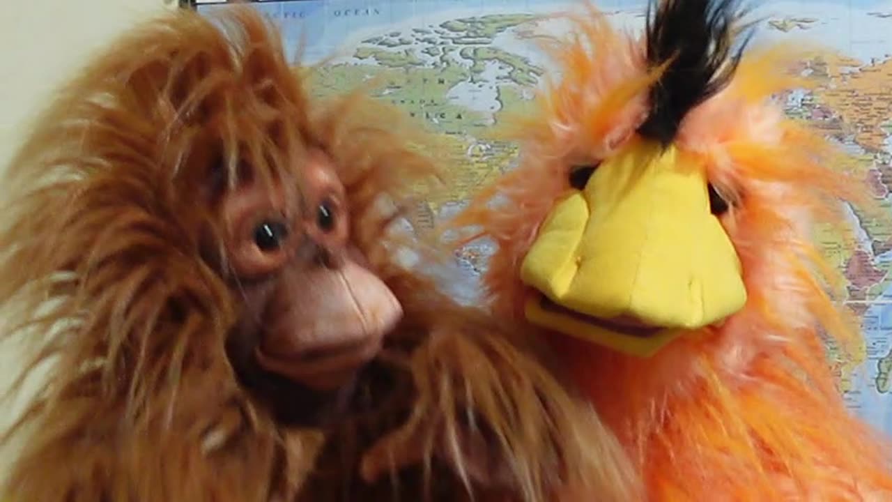 CGPA Puppets Mimic Christmas Song... Enjoy.