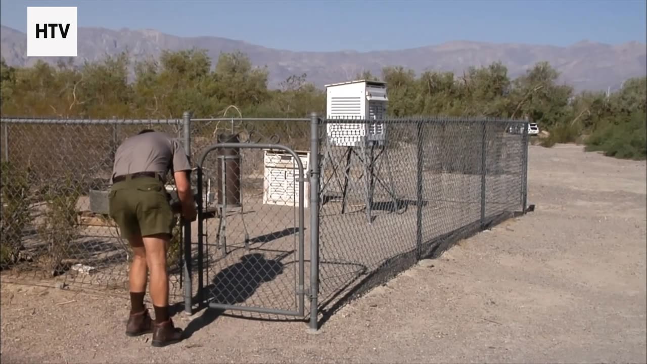 Ambush Masters: Nature’s Most Lethal Traps