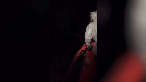 WILD FOOTAGE shows the moment the Coast Guard intercepts a boat carrying