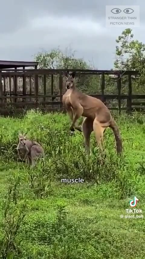 "Merry Christmas" from Downunder!