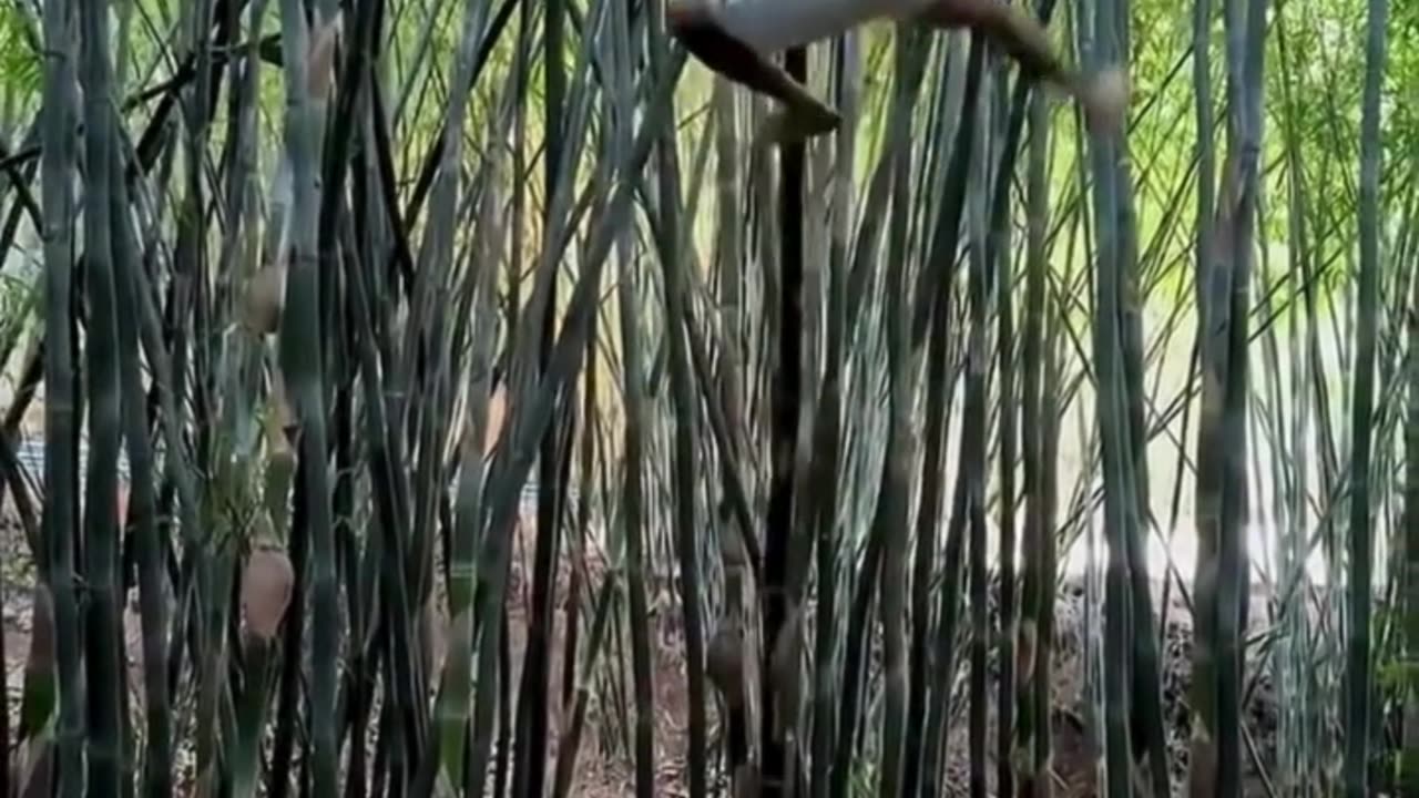 These moves are just on another level 😱🔥