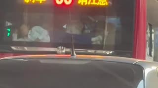 😂😈 This Naughty Guy's Antics Are Unstoppable! | FunFM