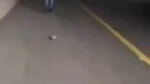 Israelis shoot unarmed man in back