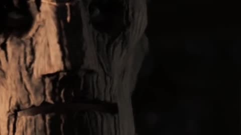 Mafia III: Definitive Edition - Meeting the Cultist