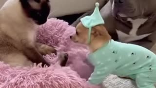 She is funny bonny with that clothes.