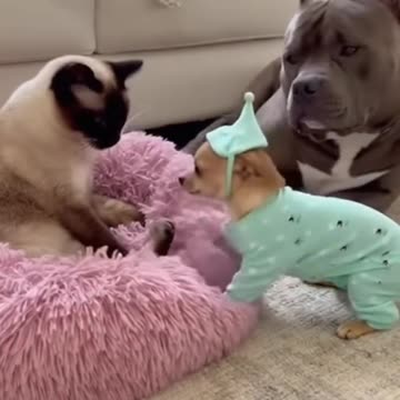 She is funny bonny with that clothes.