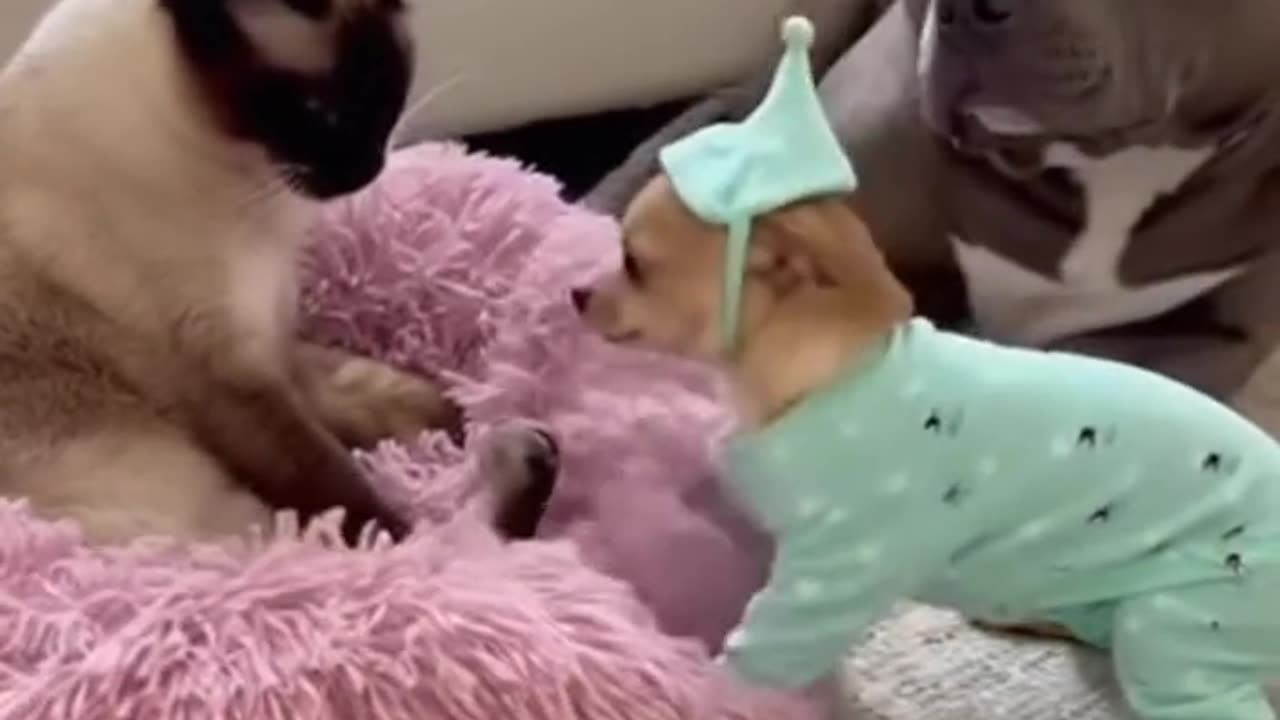 She is funny bonny with that clothes.