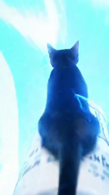 🐈‍⬛ I finally found my missing cat - You won't believe where!!🐈‍⬛