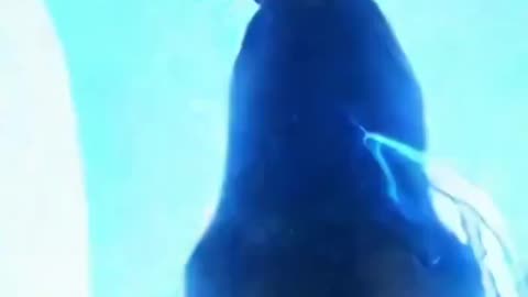 🐈‍⬛ I finally found my missing cat - You won't believe where!!🐈‍⬛