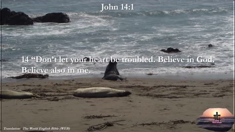 John 14:1