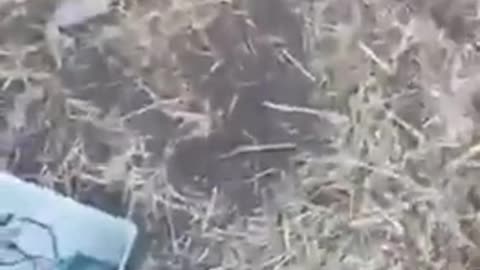 🧠🔪 Mind Blown! This Device Rotates Barbed Wire To Protect Fiber Optic Cables! | FeedMyCuriosity