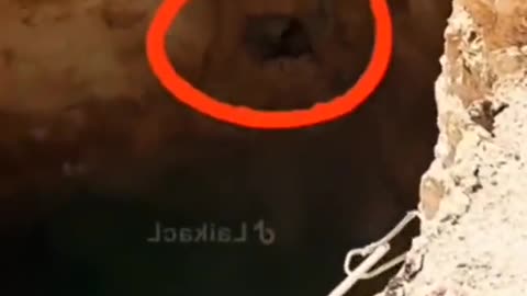 😨🧟‍♀️ World Serpent Revealed? Myth or Monster? | TheHauntingHour