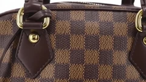 Louis Vuitton Handbag Leather