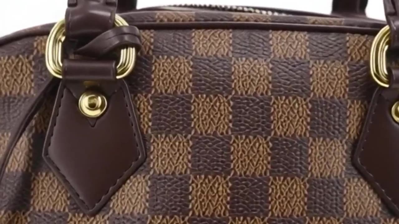 Louis Vuitton Handbag Leather