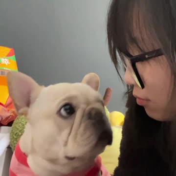 Unexpected Eye Contact with Shisanni