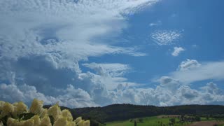 THE GENTLE WHISPER OF AMBIENT MUSIC CREATING A BREATHTAKING SYMPHONY OF NATURE