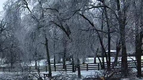 Robby Starbuck - This is happening about every 30 seconds. 🤦🏻‍♂️