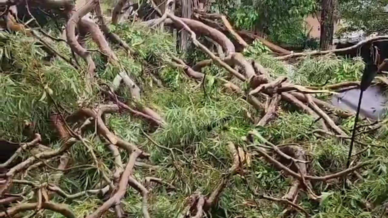 Devastation Looming As Cyclone Quickly Approaches Queensland Australia