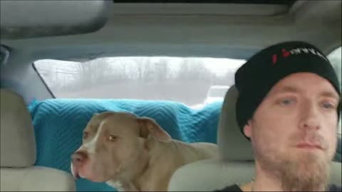 Truck shopping Merry Christmas 🎅