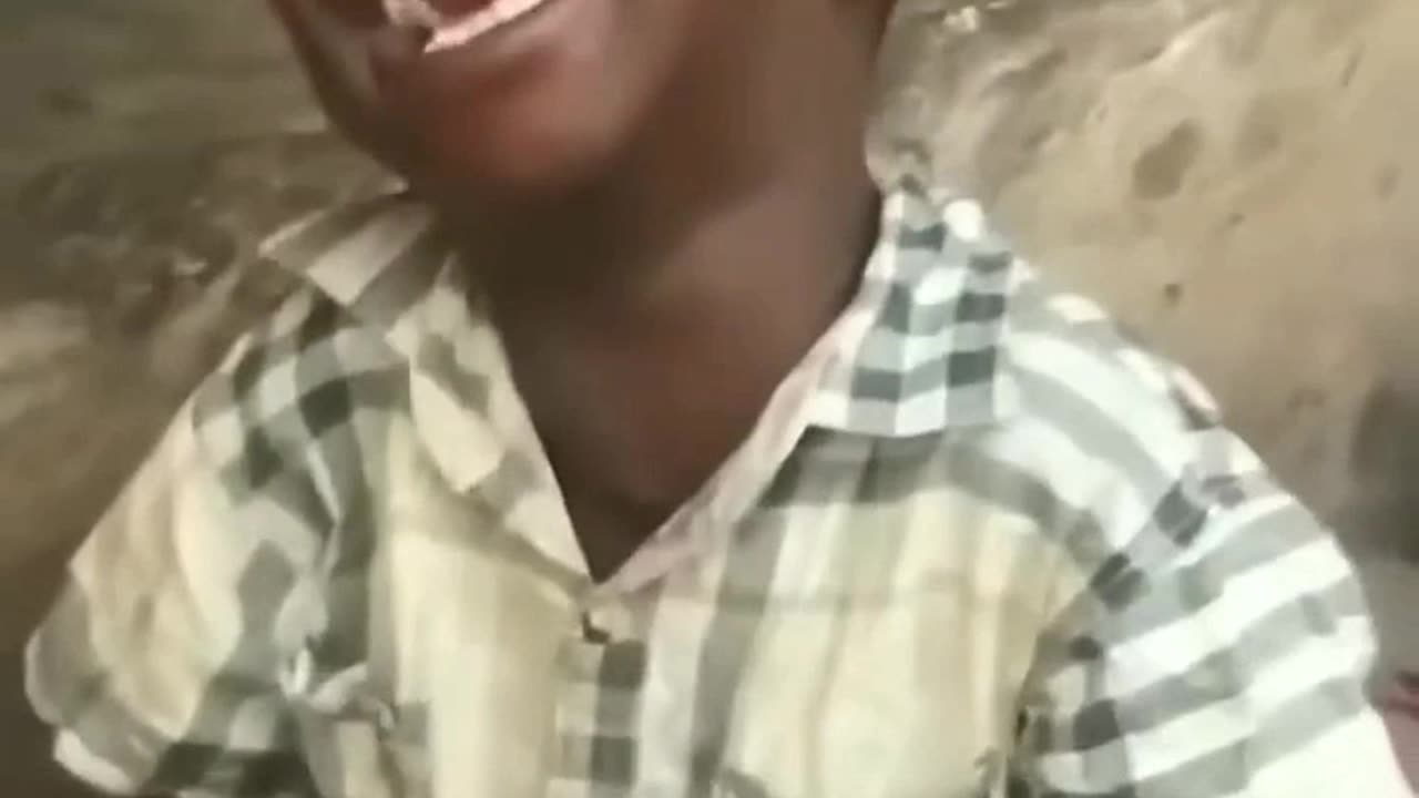 Check out our cat's fun work.