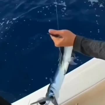 Funniest Video Compilation | Try Not to Laugh! 😂