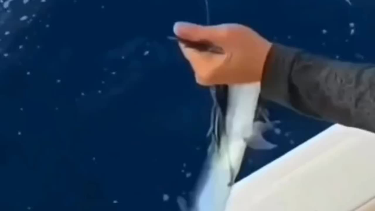 Funniest Video Compilation | Try Not to Laugh! 😂