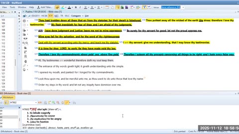 BIBLE STUDY PSALMS 119 Pt. 7