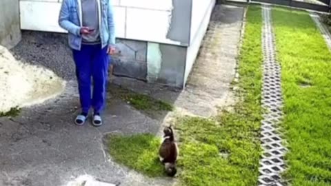 NEVER LOSE VIGILANCE