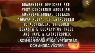 Bio Terrorism? A Jew is Caught Smuggling Diseased Leaves Into Australia & claim Aboriginal