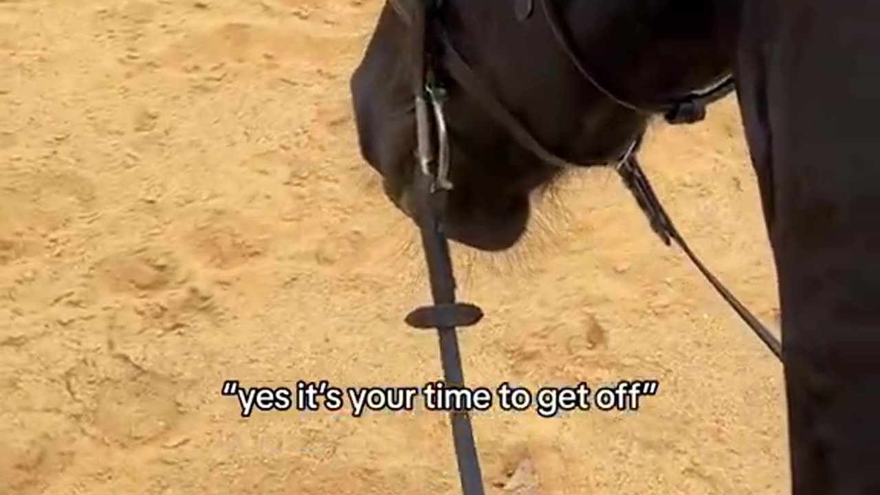 the ride is over, please exit to the left, thank you"