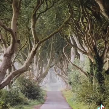 would you live here - Ireland