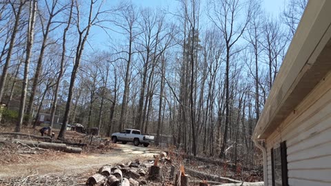 2 More Trees Down on a Beautiful Afternoon – Thanks Chris!